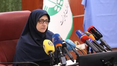 برخی دستگاه‌ها در تلاش برای حذف نقش سازمان محیط زیست در امور هستند