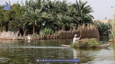 تالاب بین‌المللی شادگان، شاهراه توسعه پایدار منطقه