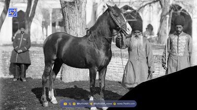  عکسی نایاب از میرآخور ناصرالدین شاه