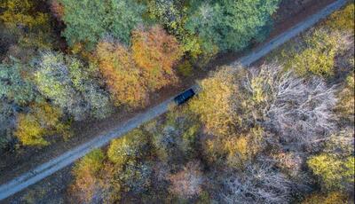  پاییز در بهار مازندران؛ آفتاب جای باران را گرفت