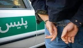  زمین‌گیر شدن اراذل و اوباش مسلح با شلیک پلیس