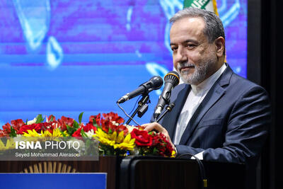عراقچی: کمتر از ۵۰ درصد ظرفیت‌های کشورهای همسایه را مورد استفاده قرار داده‌ایم