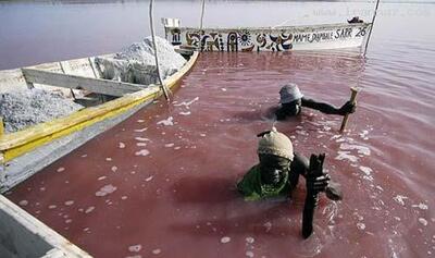  زمان چهره ها | دریاچه ای عجیب که رنگ آب آن صورتی است! +تصاویر