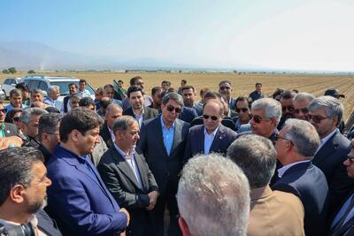  بازدید وزیر جهاد کشاورزی و استاندار کرمان از مجموعه زراعی کشت و صنعت وکیل‌آباد جیرفت