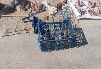  دستگیری ۲ متخلف حرفه‌ای زنده‌گیری پرندگان شکاری با تجهیزات کامل در خاتم