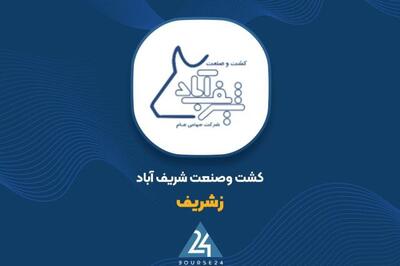  رشد 50 درصدی درآمد و سود 303 میلیارد تومانی؛ «زشریف» در مسیر افزایش بهره‌وری