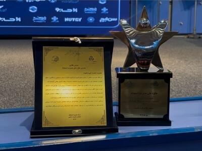  تندیس ملی مدیریت استعداد  به گروه ماموت و ویانا رسید
