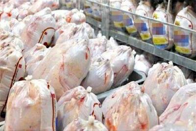 علت کاهش قیمت مرغ در بازار چه بود؟ | اقتصاد24