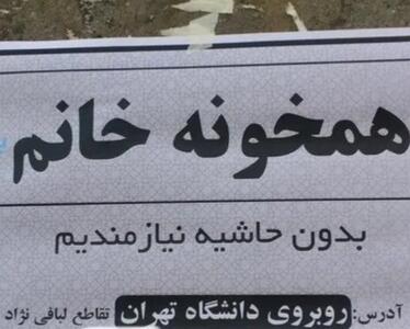 همخانگی بدون سانسور: از شریک جنسی تا همدم سالمند |  انصاف نیوز