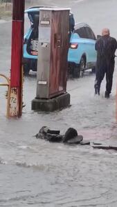  ببینید؛ نجات راکون گرفتار در خیابان سیل‌زده