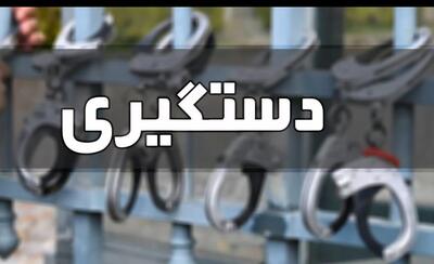  اراذل و اوباش مسلح با شلیک پلیس زمین گیر شدند