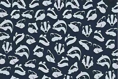  بازی فکری؛ باید تیز بین باشی تا دلفین رو بین گورکن ها پیدا کنی!!