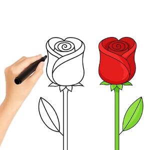  آموزش نقاشی گل رز زیبا و ساده در ۱۰ مرحله آسان