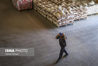  فکری به حال گاز صنایع شود/ زمستان در راه است!