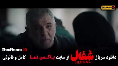  قسمت سیزدهم شغال ایرانی