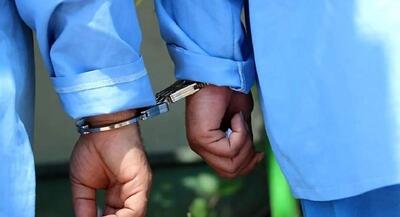  دستگیری کلاهبرداران اینترنتی | جهان نیوز