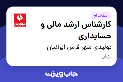  استخدام کارشناس ارشد مالی و حسابداری در تولیدی شهر فرش ایرانیان