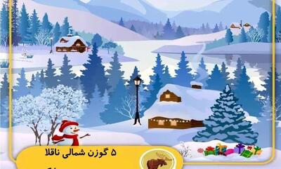  تست بینایی/ 5 گوزن شمالی ناقلا را در تصویر پیدا کنید