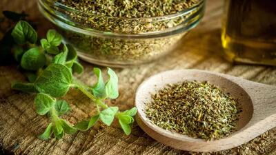 خواص درمانی پونه از مقابله با باکتری‌ها و قارچ‌ها گرفته تا کاهش التهاب و استرس !