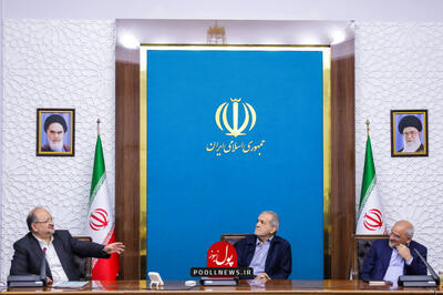 دیدار انجمن صنفی کارفرمایی صنعت پتروشیمی با رئیس جمهور