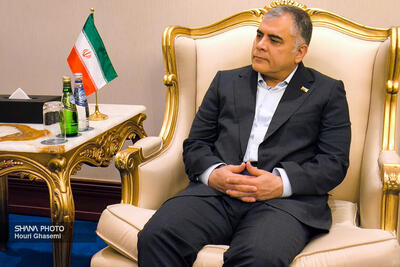وزیر نفت از توسعه دیپلماسی انرژی ایران در قطر می‌گوید