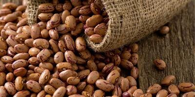 قیمت لوبیا چیتی از گوشت مرغ گران‌تر شد