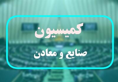 بررسی تفحص از 3 پتروشیمی در کمیسیون صنایع مجلس - تسنیم