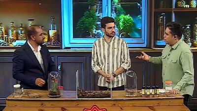  راز نجات جان از نیش عقرب سمی + فیلم