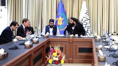  دیدار مقام طالبان با نماینده انگلیس؛ استقبال از آتش‌بس و وعده کمک ۴ میلیون پوندی