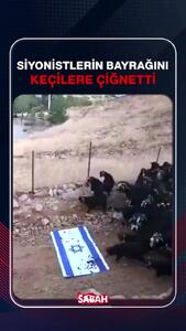 پرچم اسرائیل توسط گوسفندان لگدمال شد!/فیلم