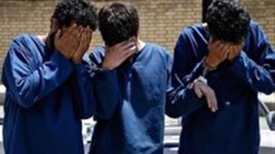  دستگیری اعضای باند سرقت باطری خودرو