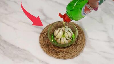  روش طبیعی برای از بین بردن سوسک در خانه / از شر سوسک ها خلاص شوید