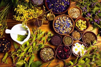 روسیه بازار بکری برای گیاهان دارویی ایران است
