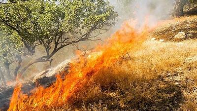  مهار آتش سوزی در جنگل های مازه خاکی چهار محال و بختیاری