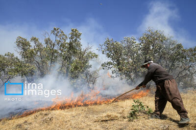  آتش‌سوزی جنگل‌های مازه‌خاکی چهارمحال و بختیاری مهار شد