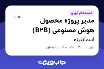  استخدام مدیر پروژه محصول هوش مصنوعی (B2B) در اسمایلینو