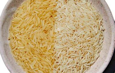 چگونه بهترین برنج پاکستانی و هندی را بخریم؟