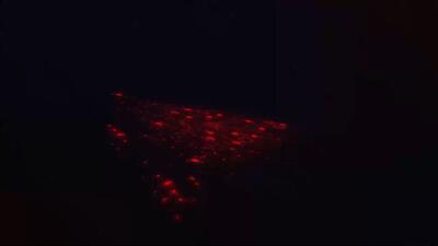  افشای یکی از سری‌ترین شرکت‌های پوششی وزارت جنگ رژیم صهیونی توسط یک گروه هکری