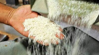 افزایش نجومی قیمت برنج در بازار امروز/ شوک بزرگ در بازار برنج