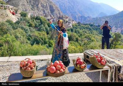 نخستین جشنواره انار مارین برگزار شد تصویر - تسنیم