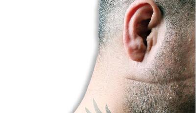 جولان  شرخر  ها در فضای مجازی؛ 300میلیون ناقابل برای رو کم کنی!