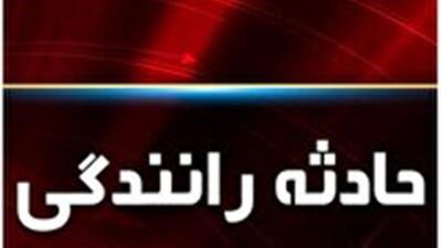  هفت مصدوم در برخورد نیسان و اسب در گرمسار