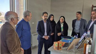  جهاددانشگاهی خراسان جنوبی می‌تواند در بازار گیاهان دارویی ترکمنستان نقش آفرینی کند