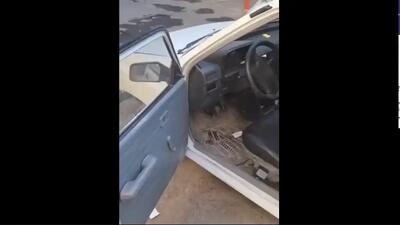  شلیک پلیس برای متوقف کردن سارق خودرو در اصفهان (فیلم)