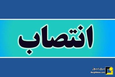 انتصاب مدیرعامل جدید توزیع نیروی برق مشهد