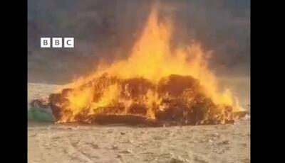 آتش‌زدن بیش از دو هزار کیلو موی زنان به دستور رهبر طالبان