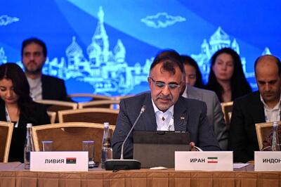  معاون وزیر اقتصاد: در اجلاس FATF، بحث درباره پالرمو بود