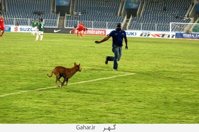  حضور سگ بازیگوش در جریان بازی دوتیم کلمبیایی
