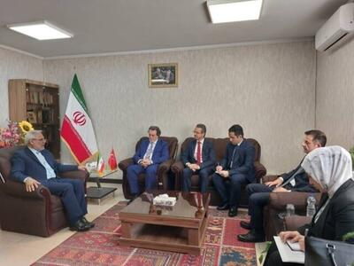  دیدار معاون وزیر دادگستری با سفیر و هیات قضایی ترکیه