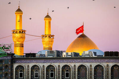  حضور سفیر آمریکای جنوبی در حرم امام حسین(ع) | ویدئو